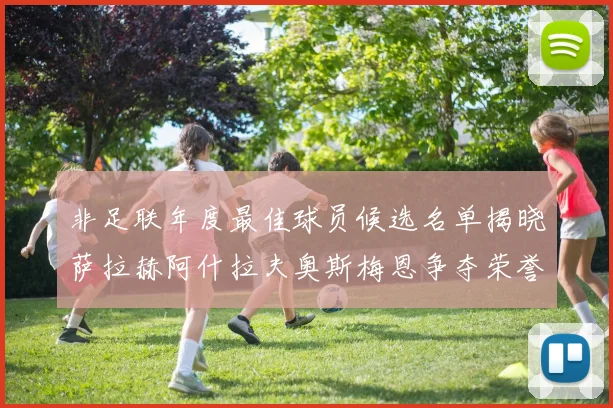 非足联年度最佳球员候选名单揭晓萨拉赫阿什拉夫奥斯梅恩争夺荣誉